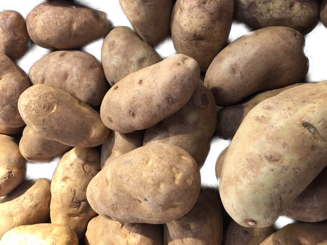 Potatoes Russet 10 lb in the Mail